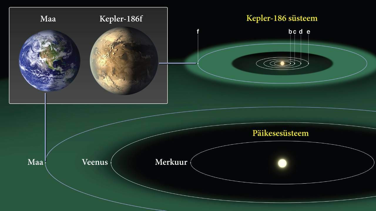 Kepler vs Päikesesüsteem