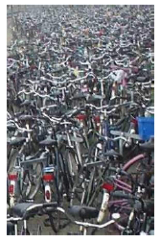 Mõned Hollandi jalgrattad