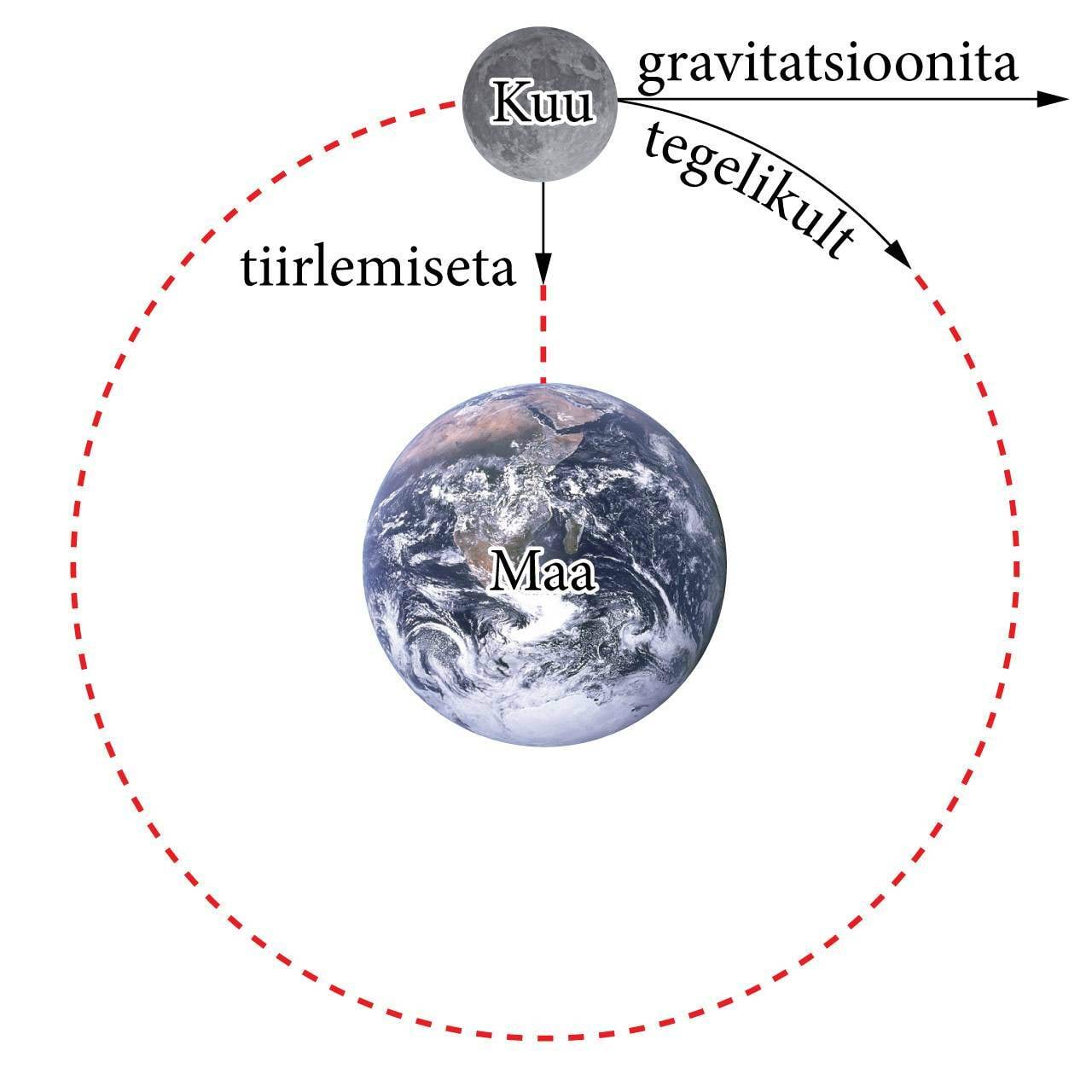 Kuu liikumine Maa gravitatsiooniväljas