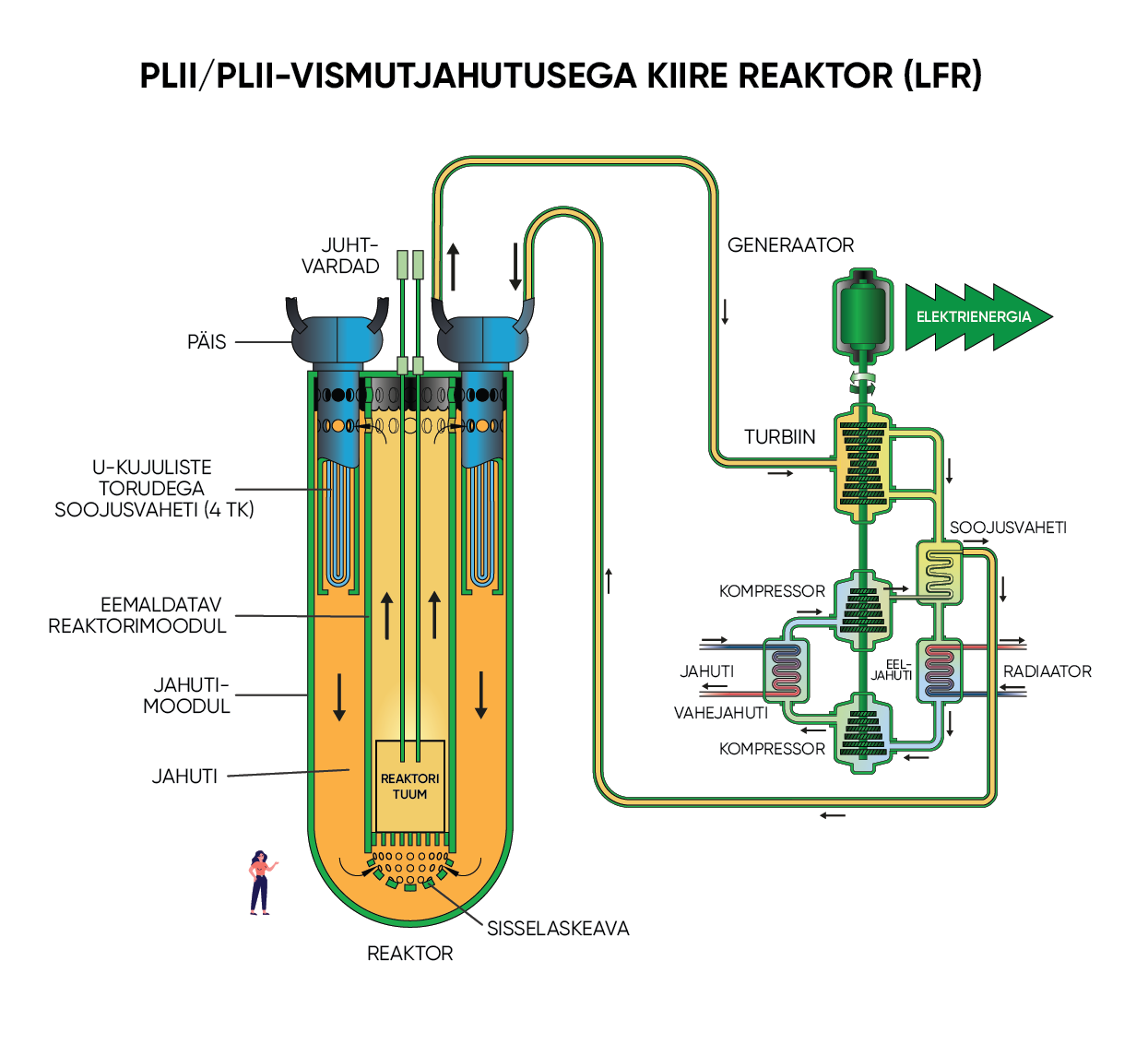 Plii/plii-vismutjahutusega kiirete neutronitega reaktor (LFR)