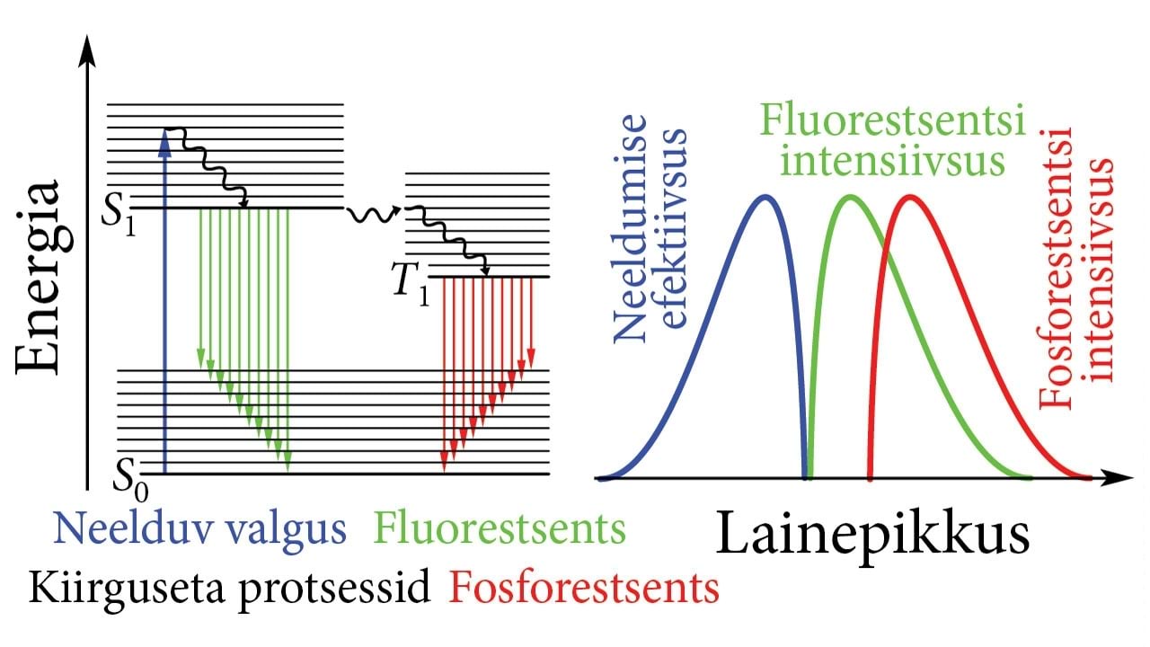 Fluorestsents ja fosforestsents: kiirgumine ja neeldumine