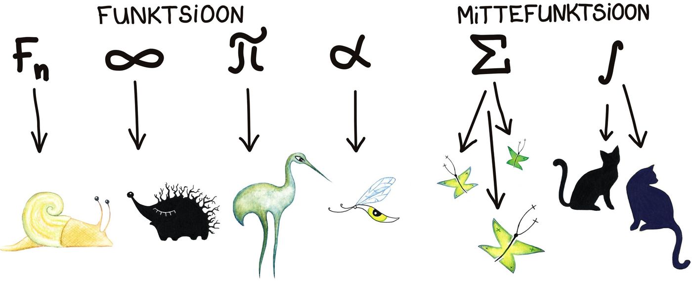 Funktsioon või mittefunktsioon?