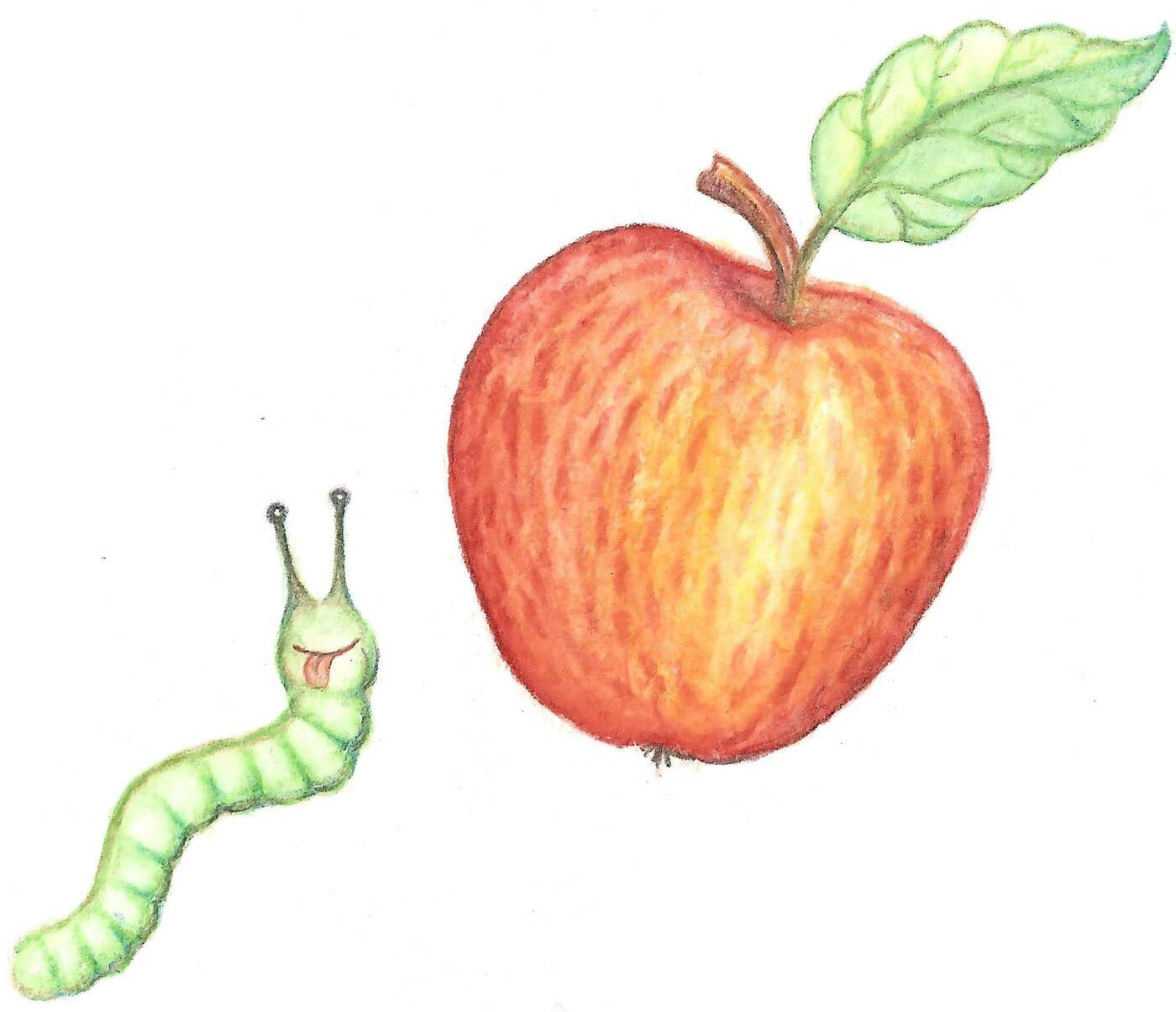 Õun ja õunauss<br>