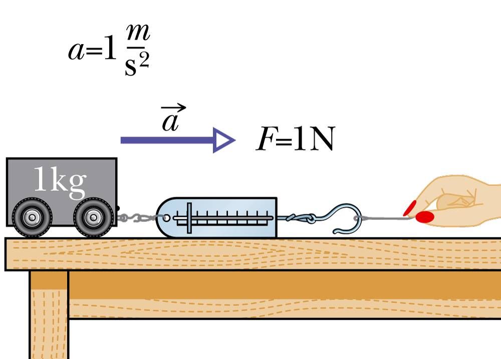 Dynamometer