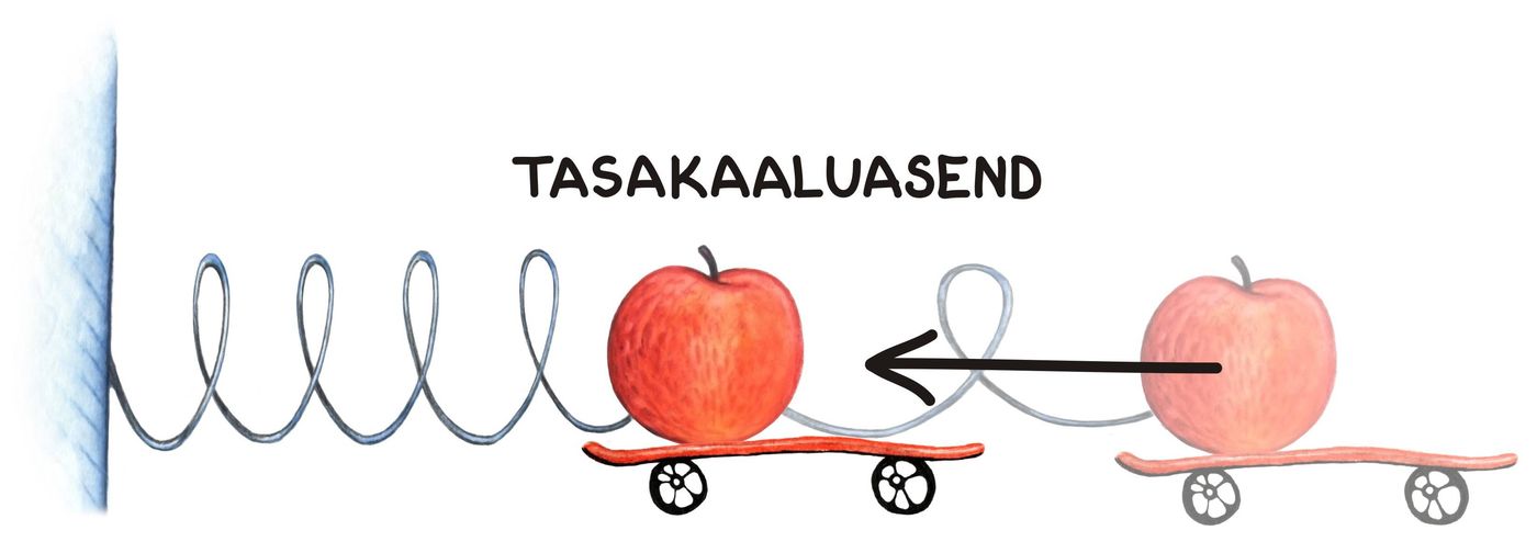 Elastne vedru1