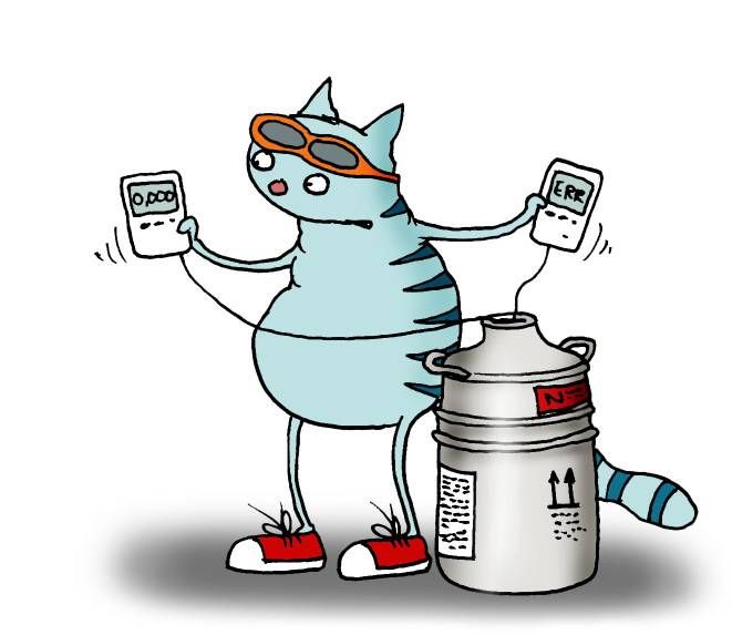 Kass mõõdab