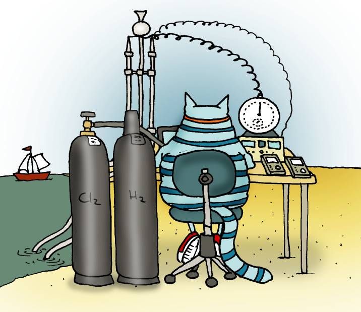 Kass ja elektrolüüs
