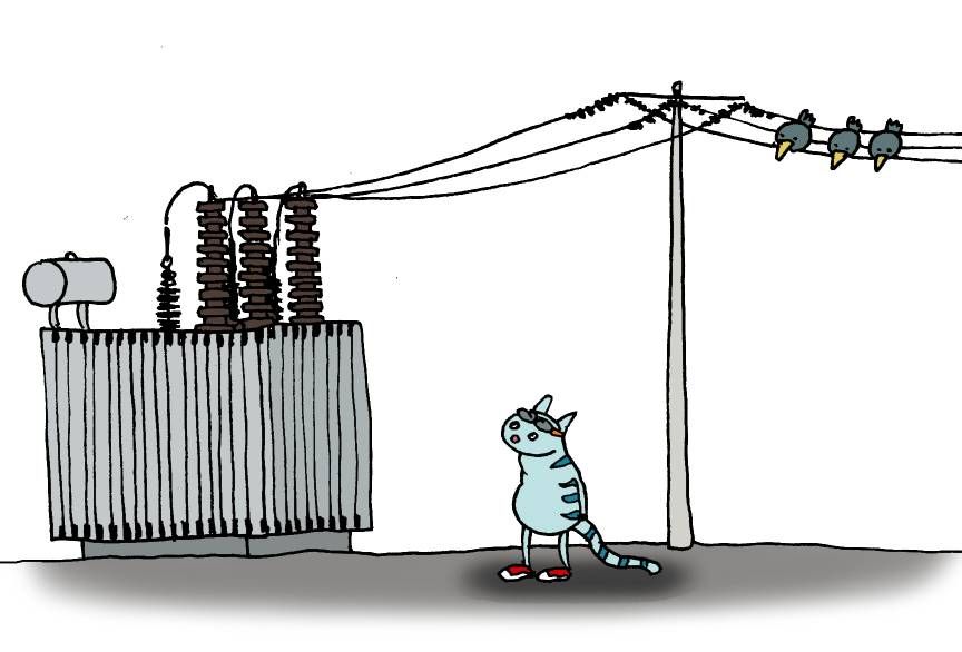 Kass ja trafo