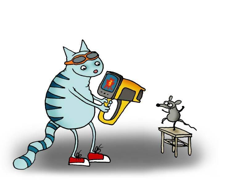Kass, hiir ja termokaamera