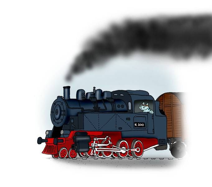 Kass ja aururong