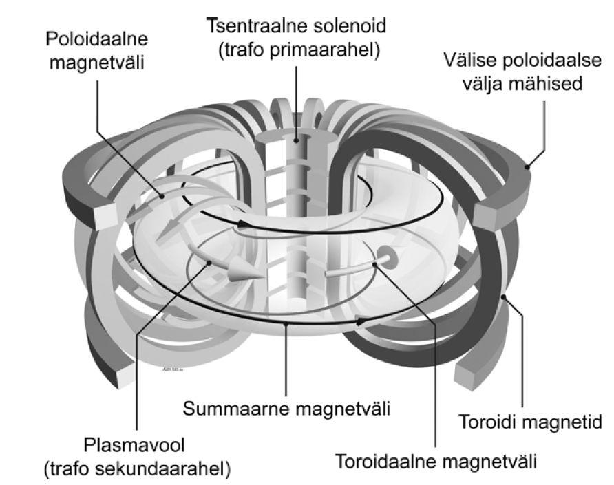 Tokamaki magnetosa