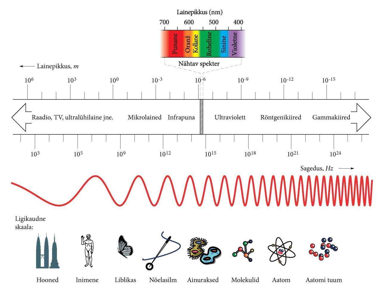 Elektromagnetlainete spekter