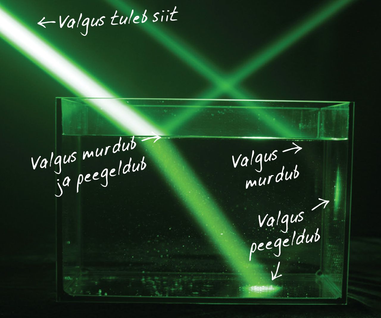 Valguse peegeldumine ja murdumine akvaariumis
