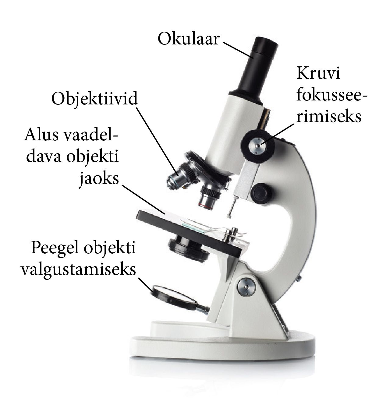 Mikroskoobi põhilised osad