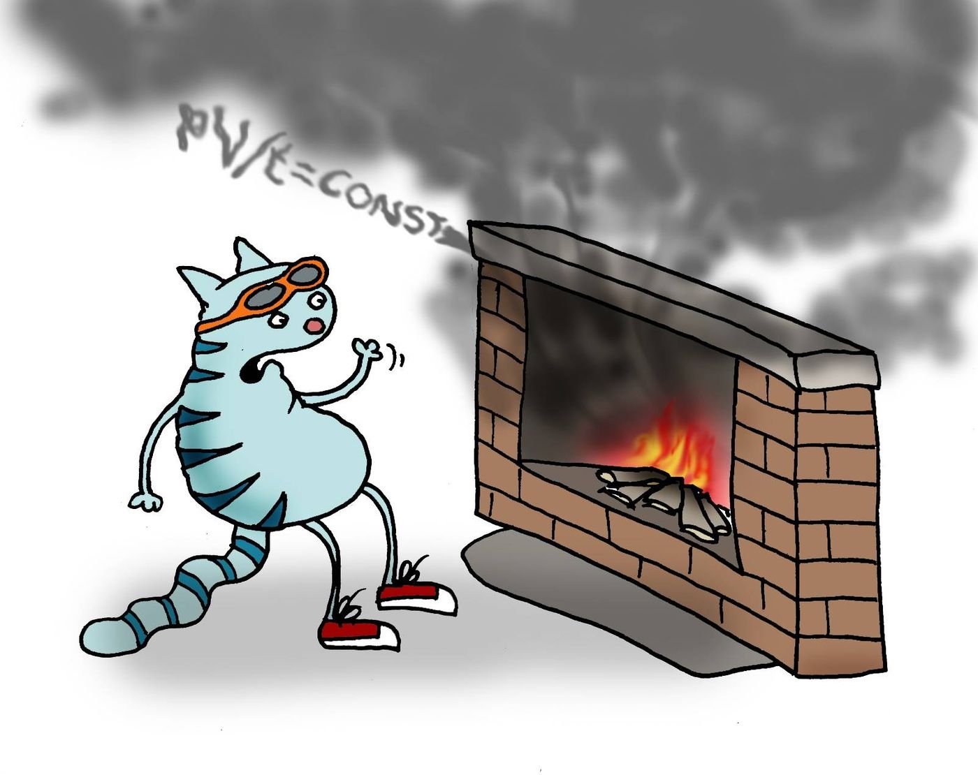 Kass ja kamin