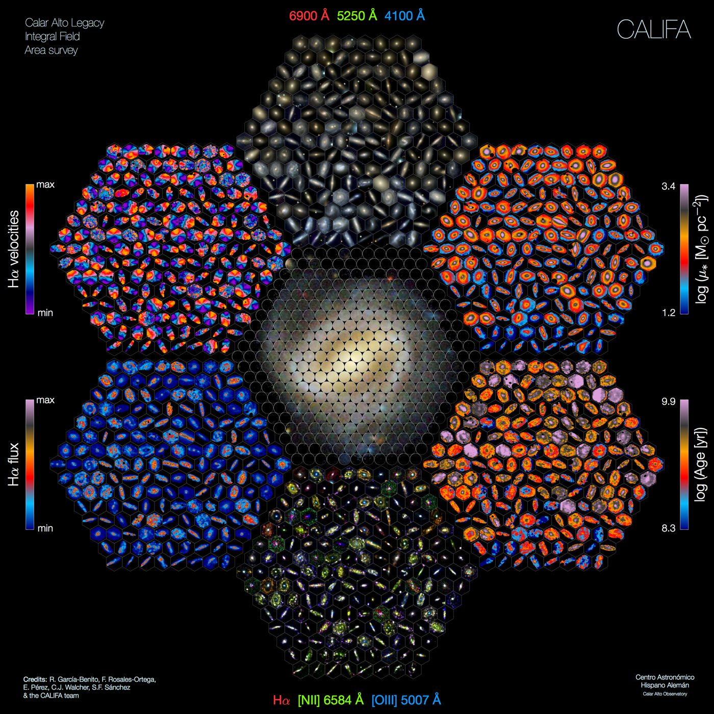 CALIFA Survey