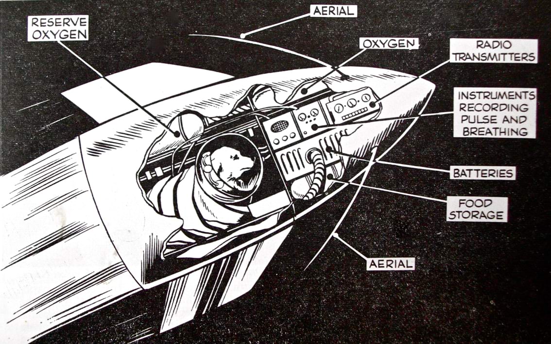 Laika kosmoseaparaat