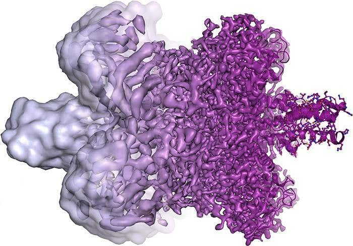 Aatomlahutusega kujutis biomolekulist