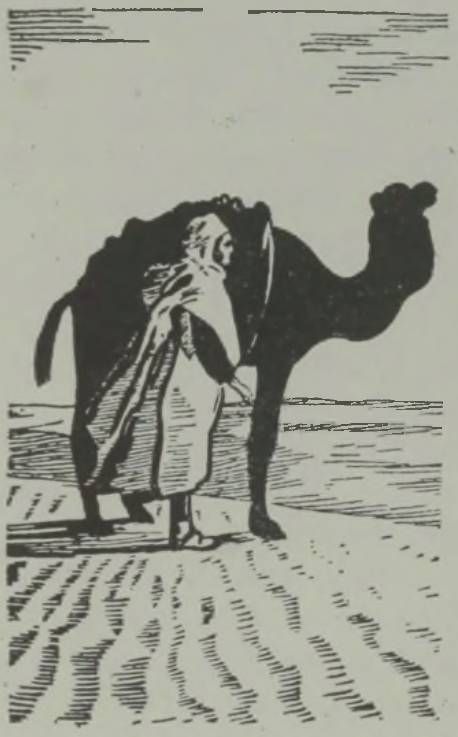 Laineline liivapind kõrbes