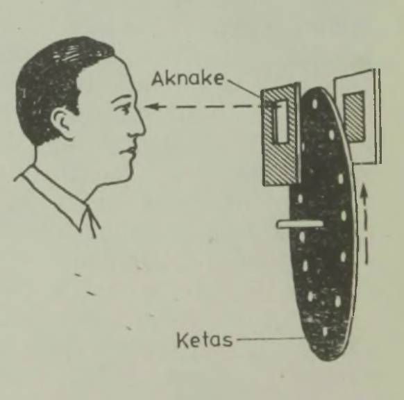 Pilt muutub ketta pöörlemisel nähtavaks