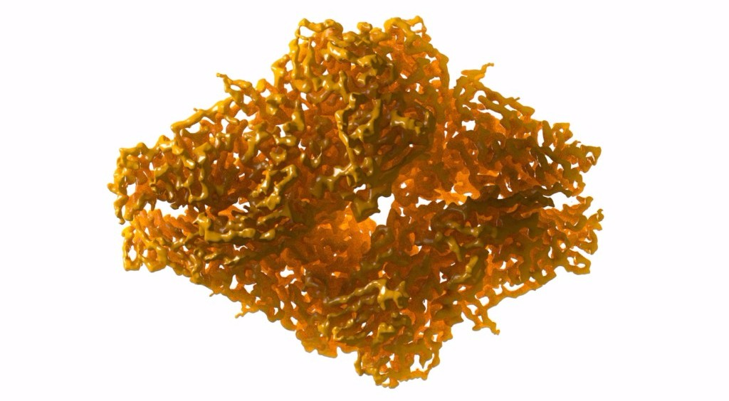 β-galaktosidaas