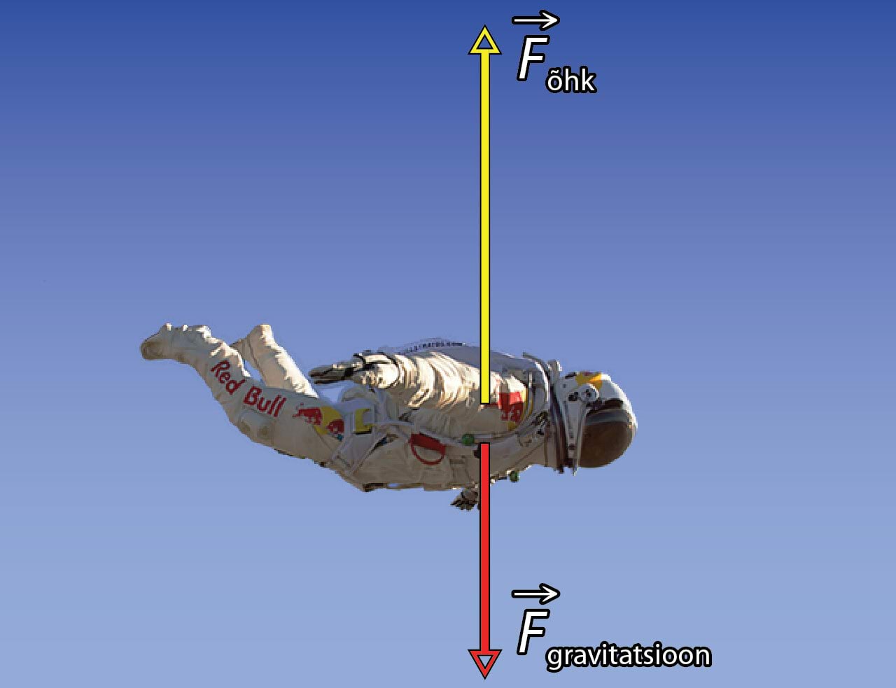 Forces acting on Felix Baumgartner during the deceleration phase of the jump
