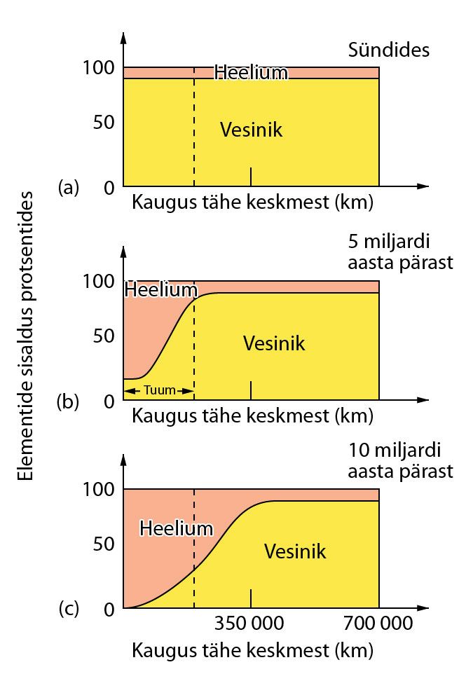 Vesiniku muutumine heeliumiks päikesesarnases tähes sõltuvalt kaugusest tähe tsentrist