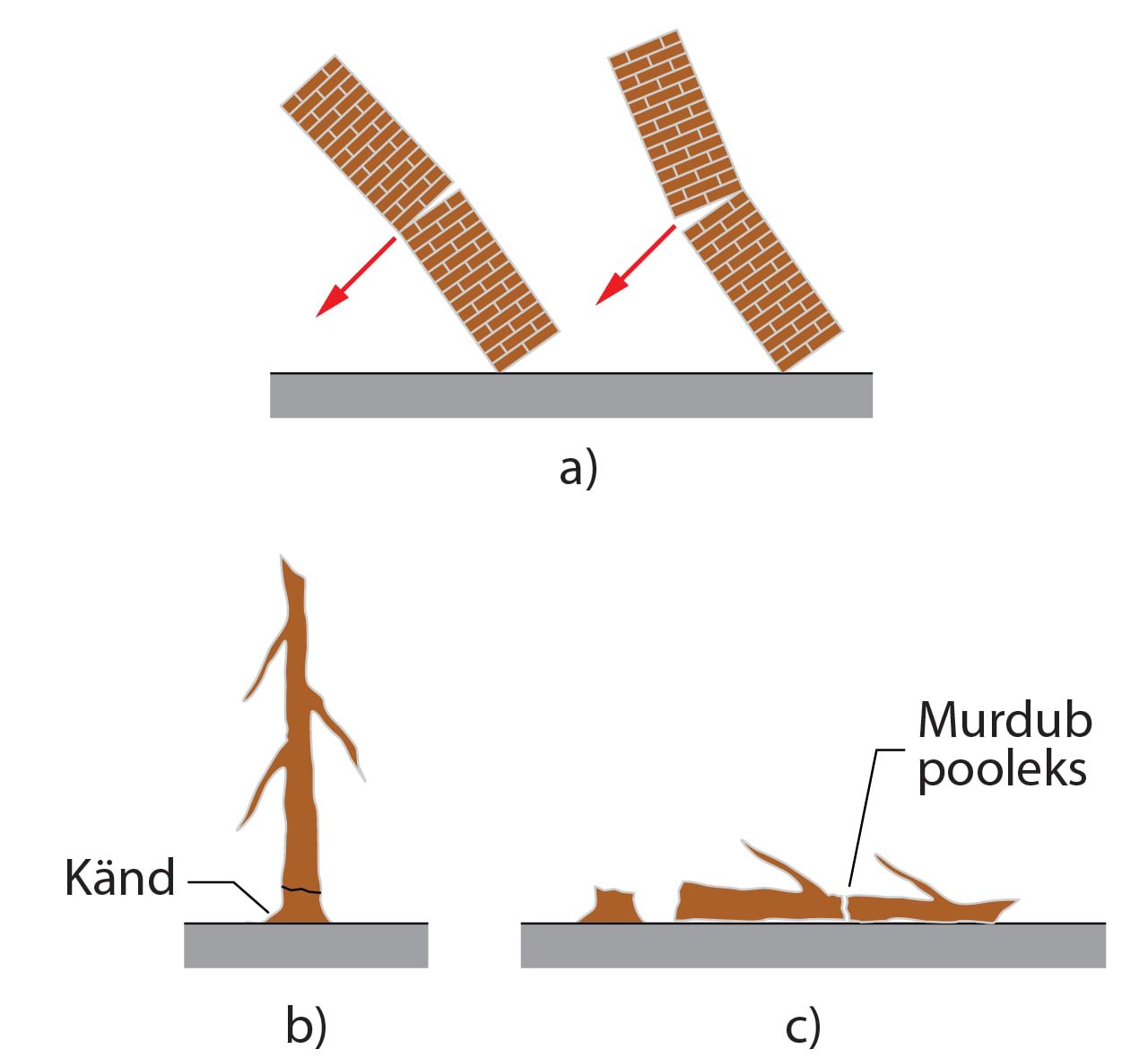 Kukkuv korsten, mäda puu