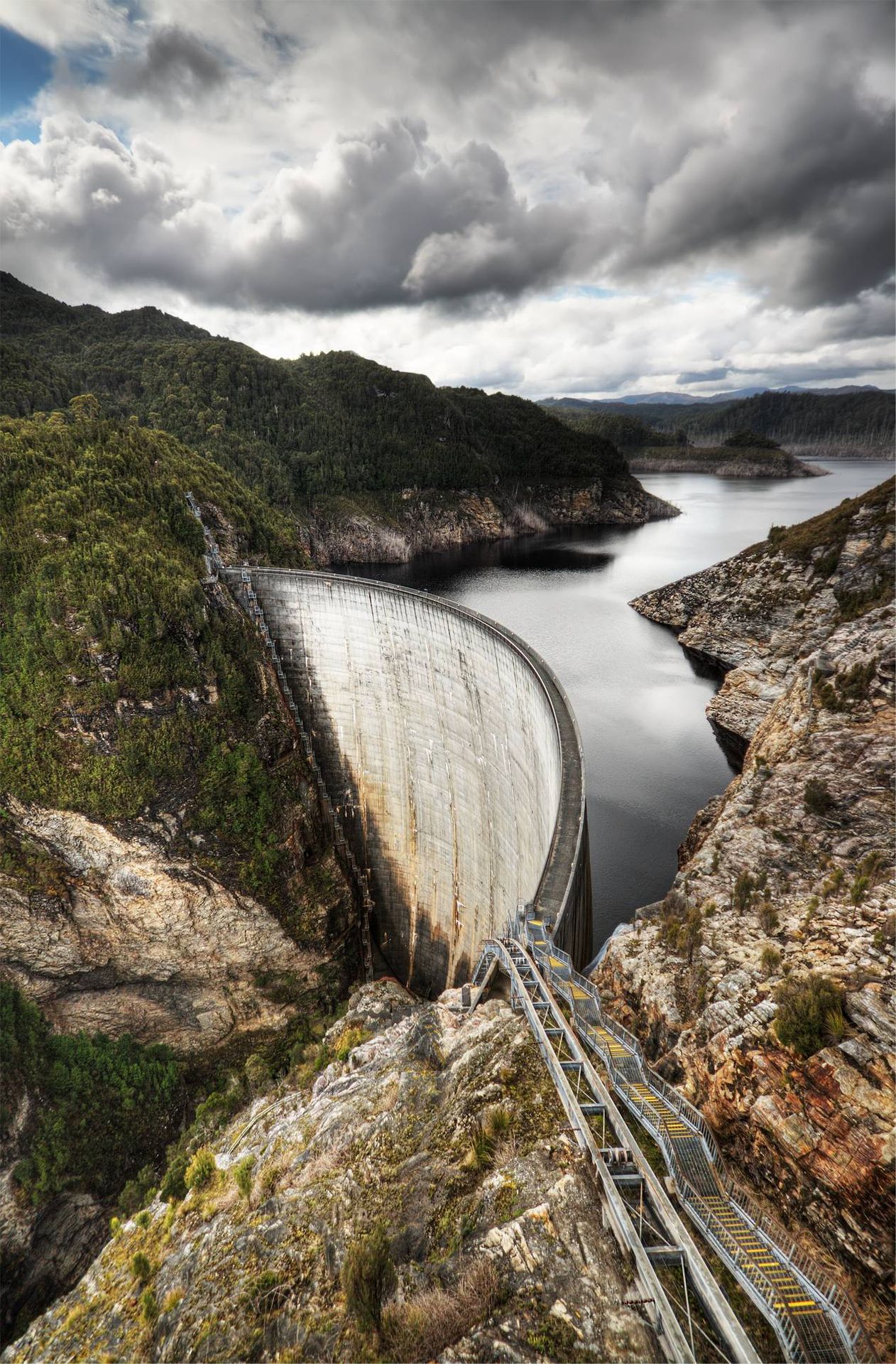 Gordoni tamm Austraalias, foto