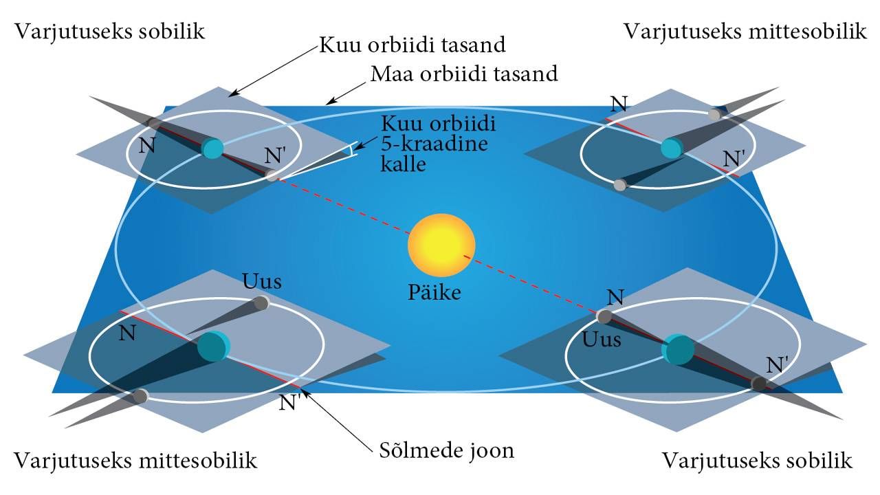Varjutused, joonis