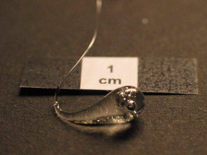 Prints Ruperti tilk enne purunemist