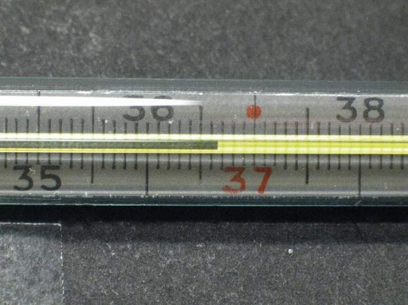 Materjal th_139_3903