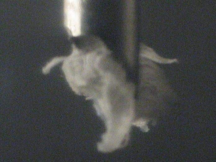 Materjal th_140_4024