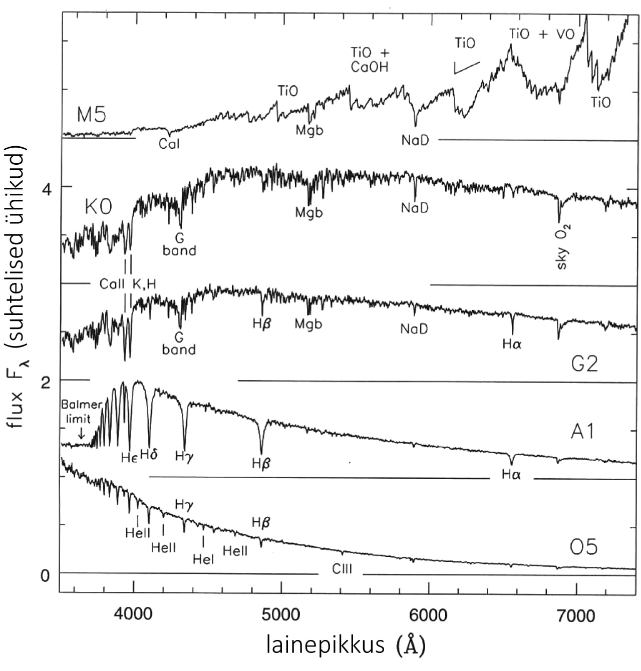 Mõnede tähtede spektraaltüüpide kiirgusvoogude spektraalajotused