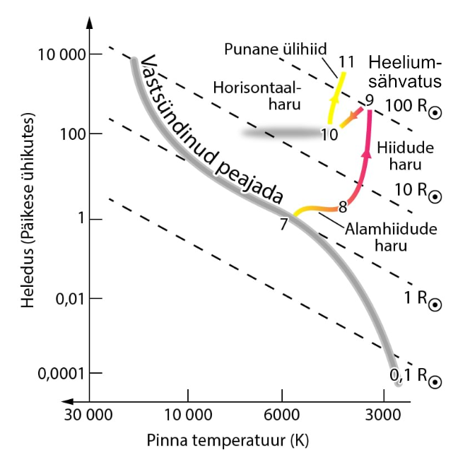 Päikesesarnase tähe areng H-R diagrammil