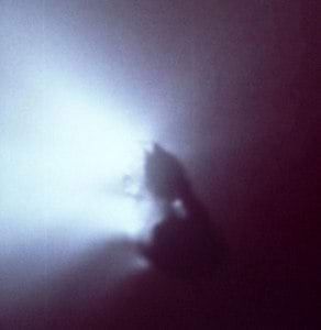 Halley komeedi tuum