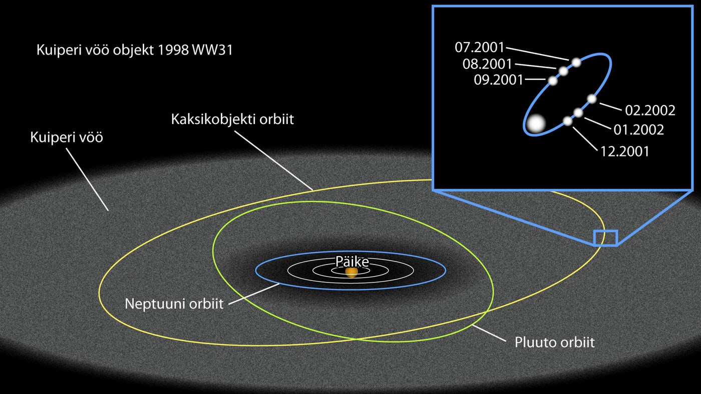 Kuiperi vöö objekti WW31 orbiit (punane joon)