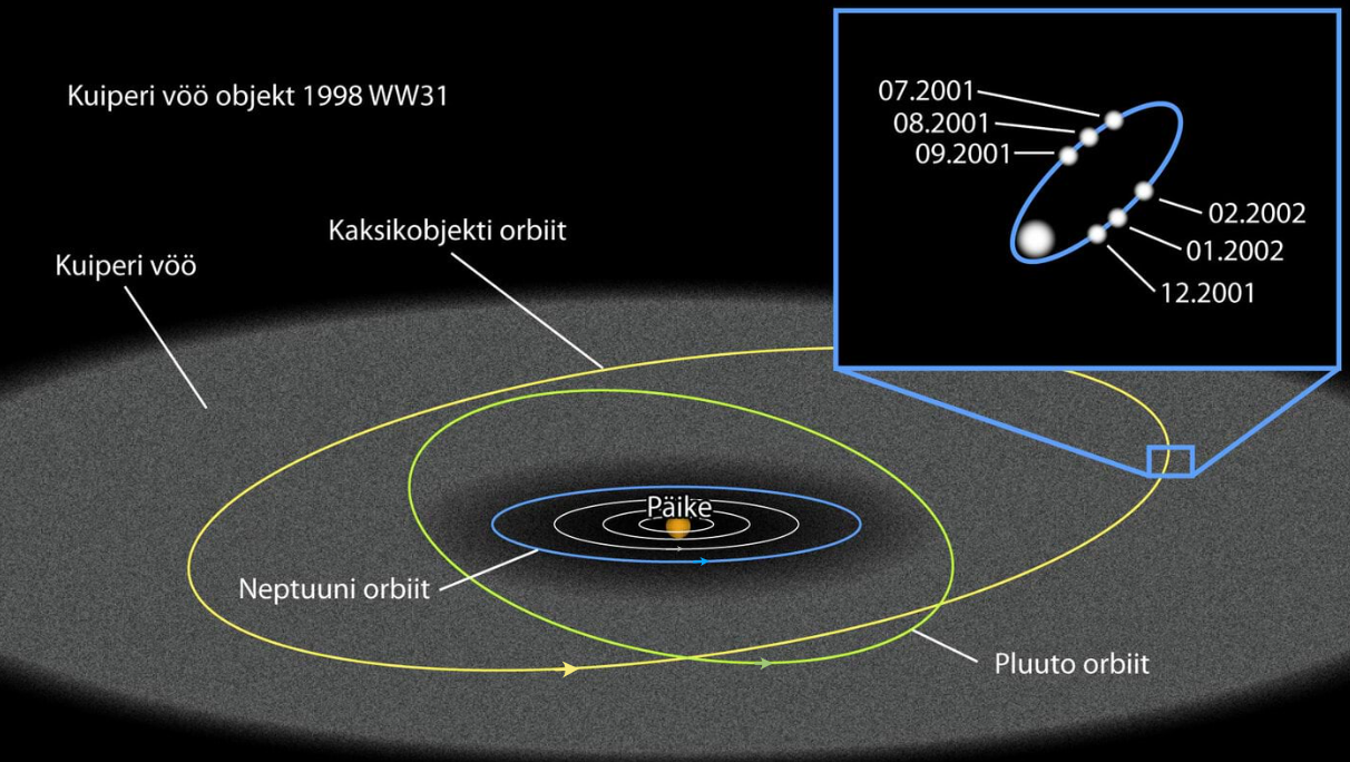 Kuiperi vöö objekti WW31 orbiit