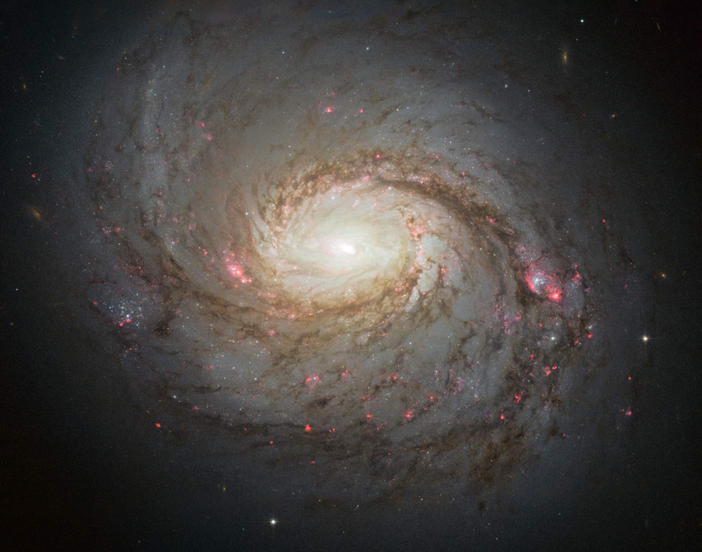 Seyferti galaktika NGC 1068 (Messier 77)