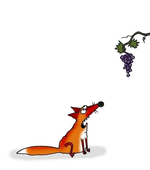 Rebane vaatab viinamarjakobarat