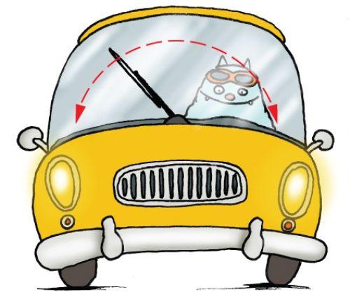Kass autos, kojamees võngub