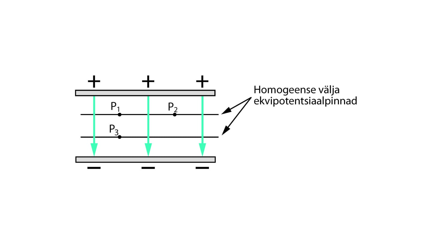 Homogeense elektrivälja ekvipotentsiaalpinnad