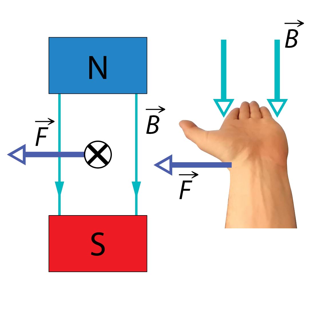 Vasaku käe reegel magnetväljas juhtmelõigule mõjuva jõu suuna määramiseks