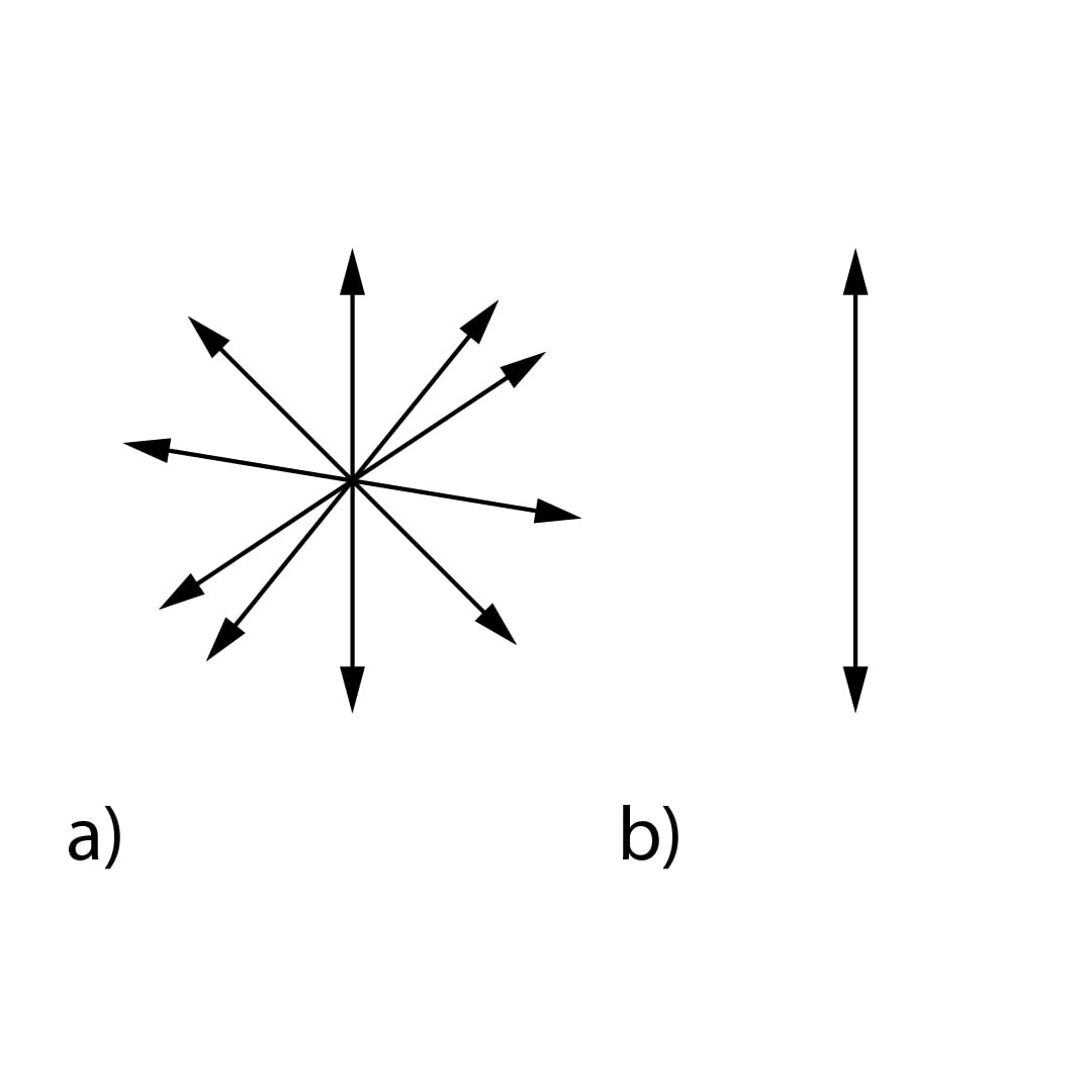 E-vektori võnkumise suunad polariseerimata ja polariseeritud valguses