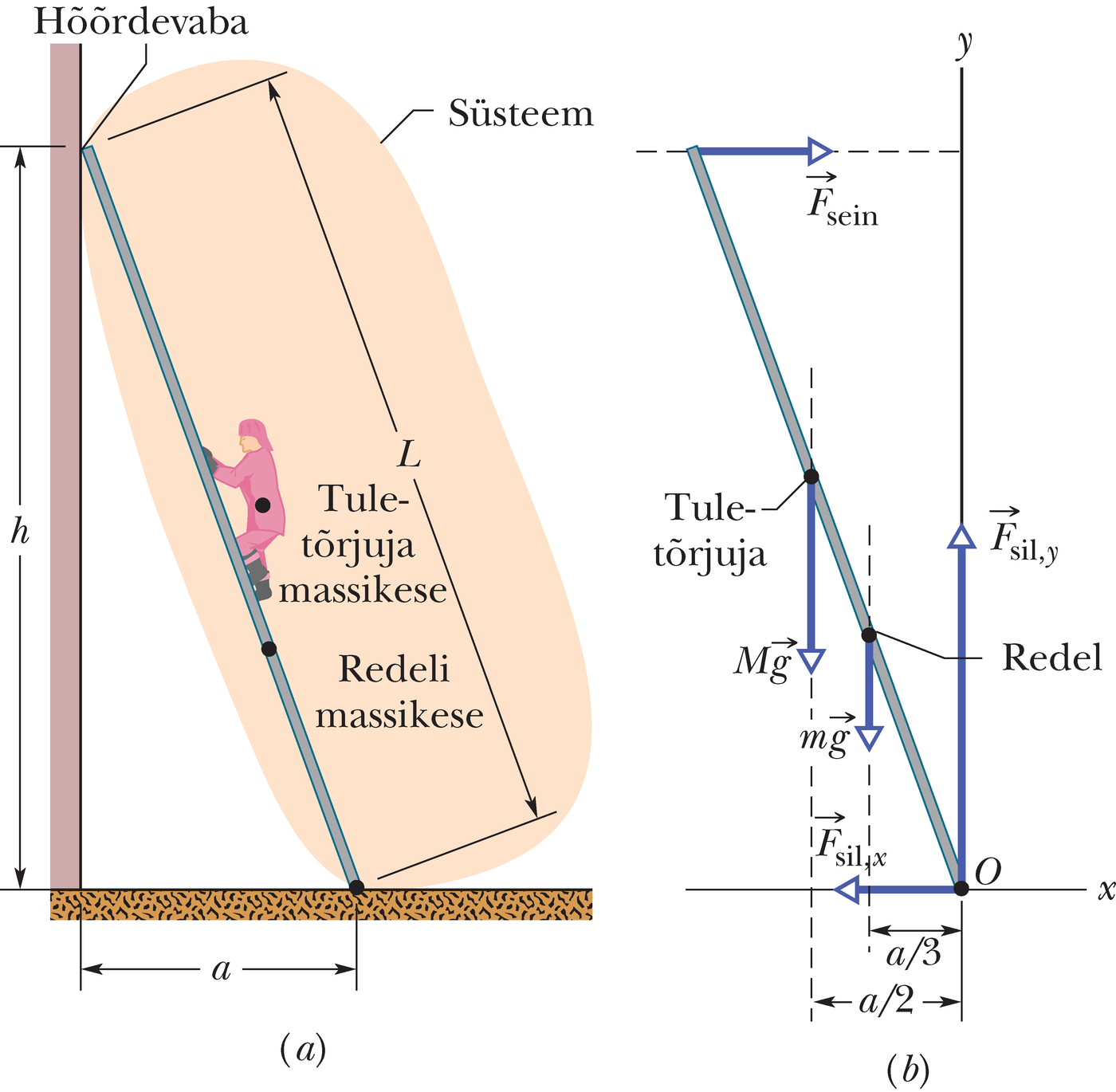 Tuletõrjuja ronib üles mööda redelit