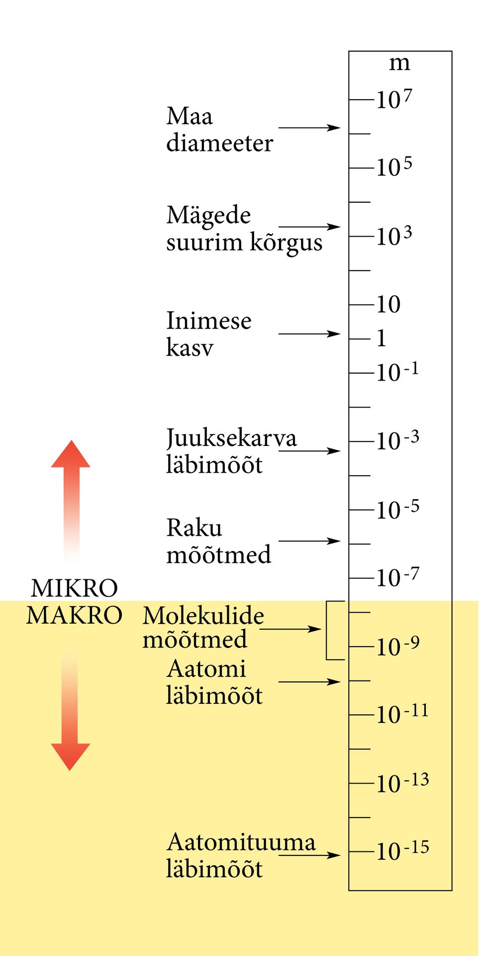Mikro Makro