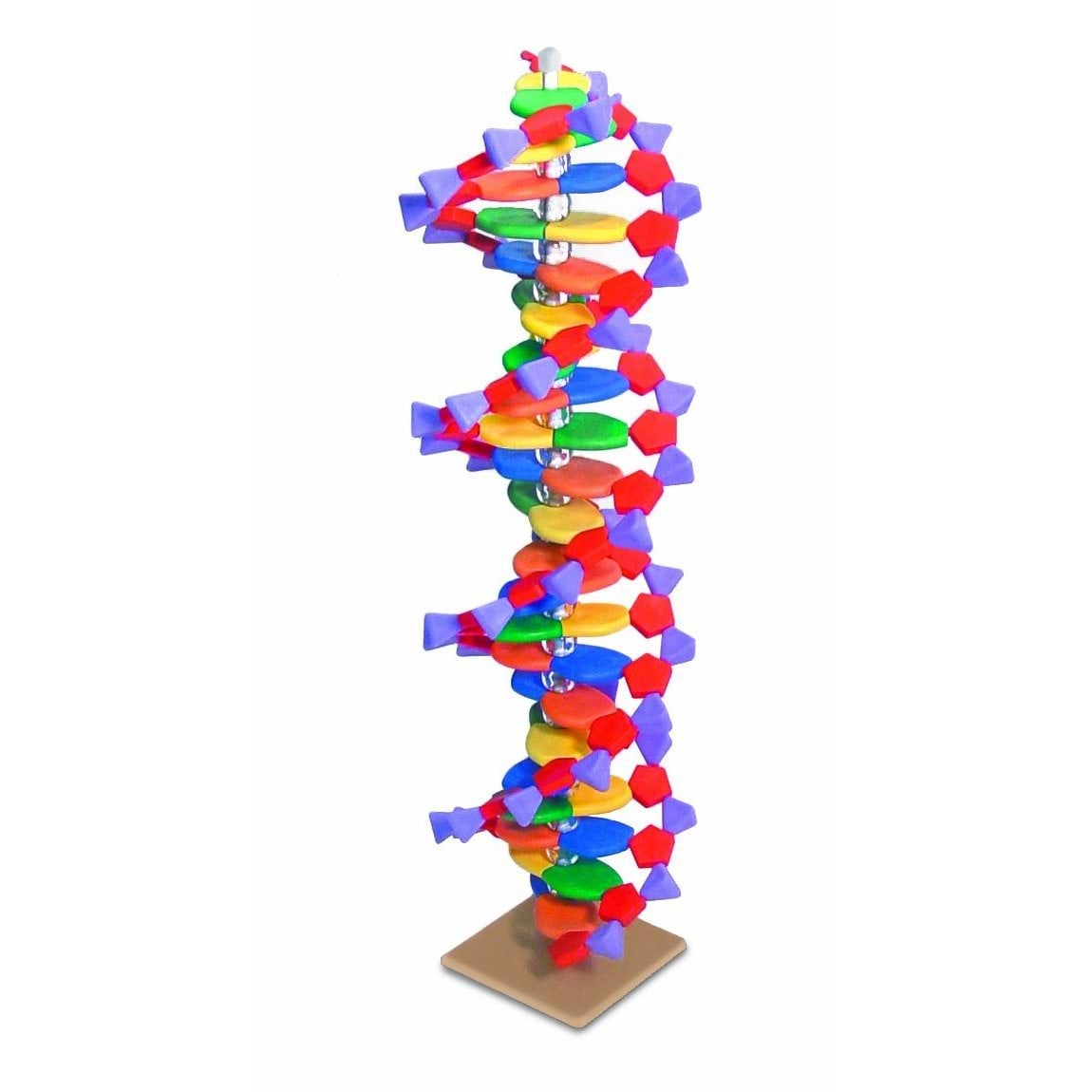 DNA plastikust mudel