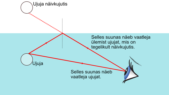 A swimmer and his virtual image