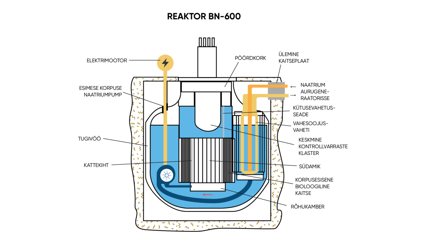 Reaktor BN-$600$