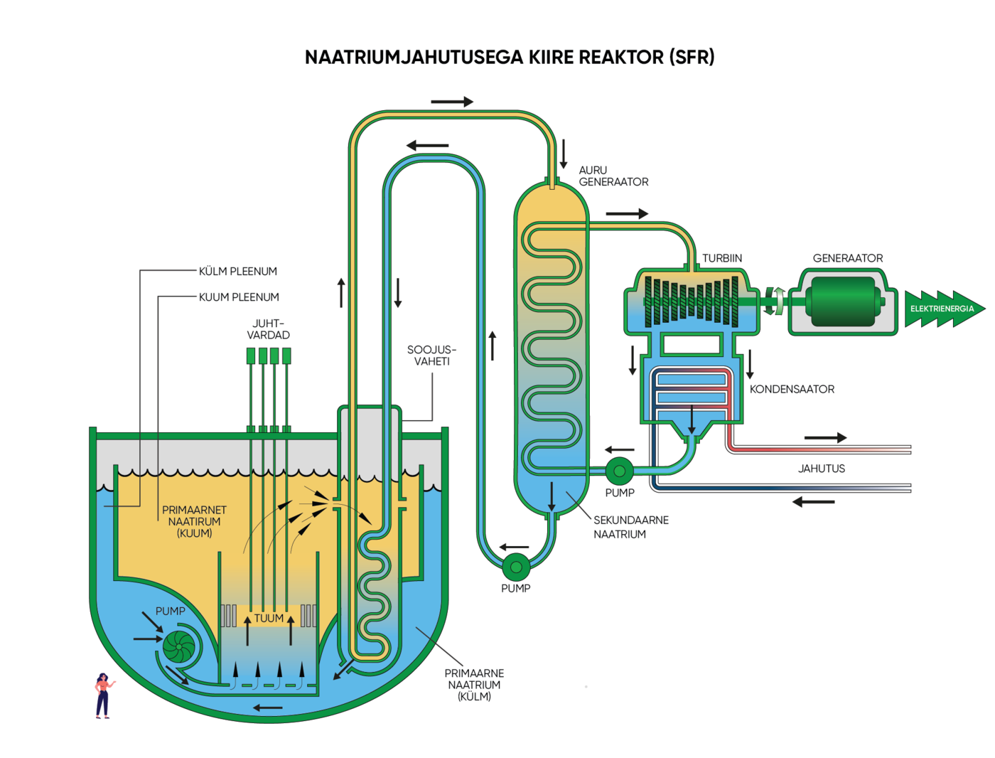 Naatriumjahutusega kiirete neutronitega reaktor